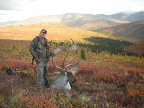 alaska2011caribou 8ht.jpg