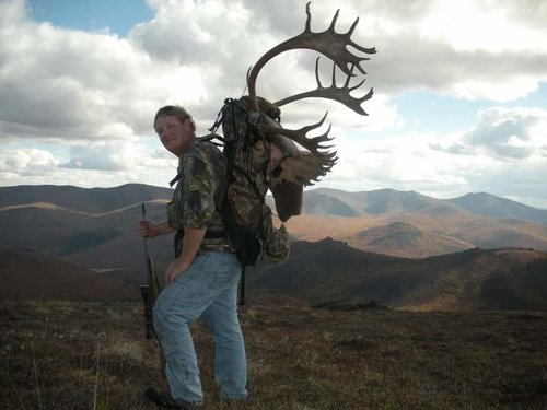 alaska2011caribou 10ht.jpg