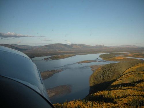 alaska2011caribou 12ht.jpg