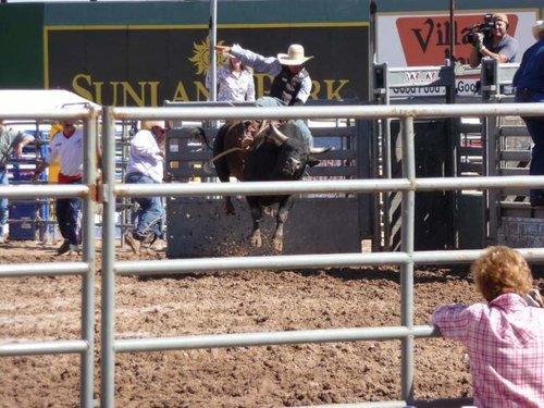 bull ridin.jpg bull ridin.jpg