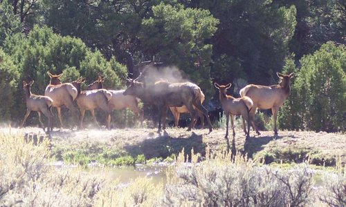 BigMuddyBullHillside.jpg BigMuddyBullHillside.jpg