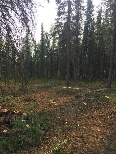 House site cleared.jpg House site cleared.jpg