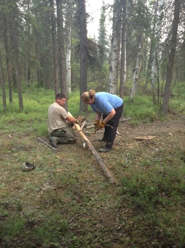pealing logs.jpg pealing logs.jpg