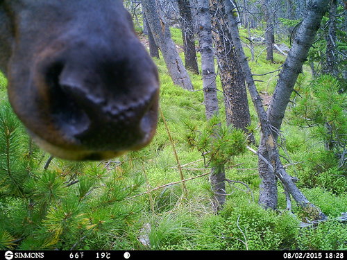 HUNT0082.JPG HUNT0082.JPG