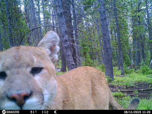 HUNT0140.JPG HUNT0140.JPG
