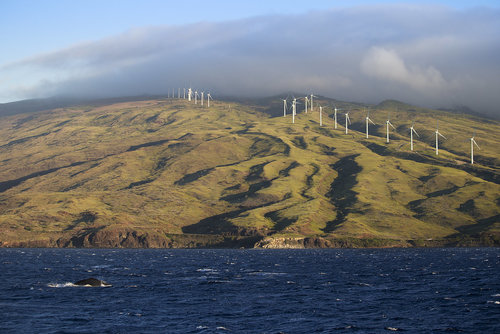 maui windmills.jpg