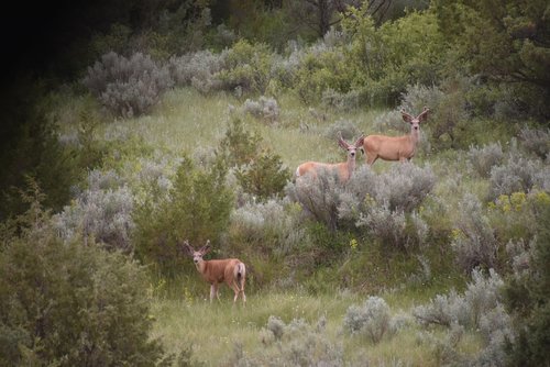 DSC_0160.JPG DSC_0160.JPG
