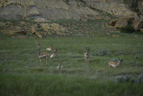 DSC_0172.JPG DSC_0172.JPG