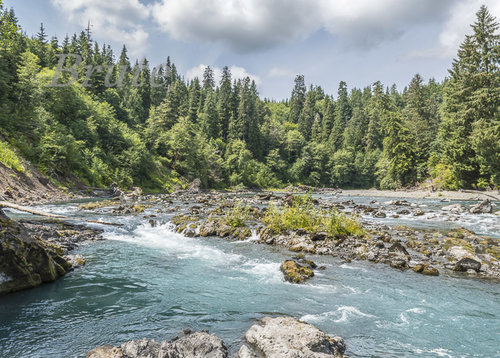 Hoh River July 2019 aa-.jpg