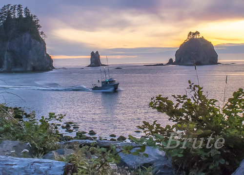 Boat La Push Sunset July 2019  a-2305.jpg