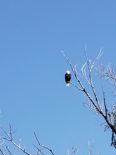20190728_153652.jpg 20190728_153652.jpg