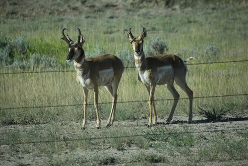 DSC_0222_1.JPG DSC_0222_1.JPG