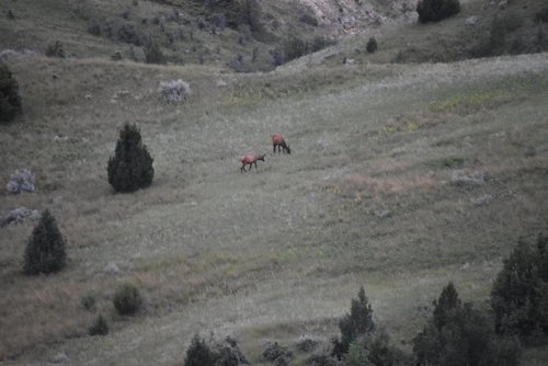 DSC_0235.JPG DSC_0235.JPG