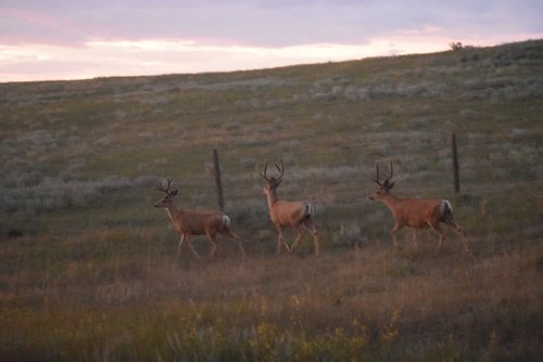 DSC_0248.JPG DSC_0248.JPG
