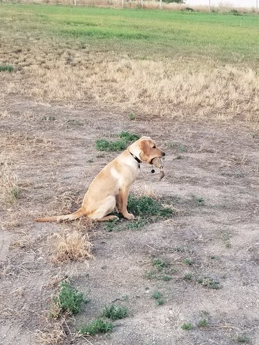 20190723_062041.jpg