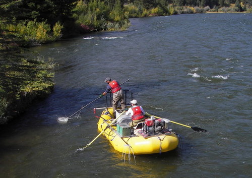bananaboat.JPG