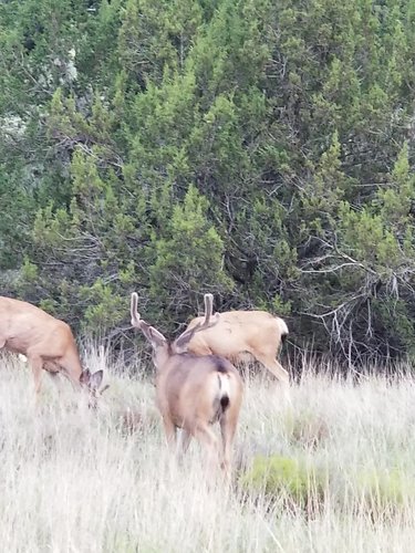 20190803_194638.jpg 20190803_194638.jpg