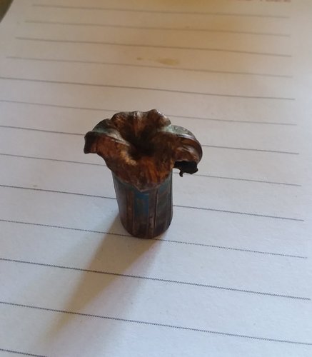 20190805_135231.jpg