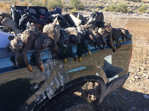 579C83FE-D016-47EA-9A26-19E78F3C392F.jpeg