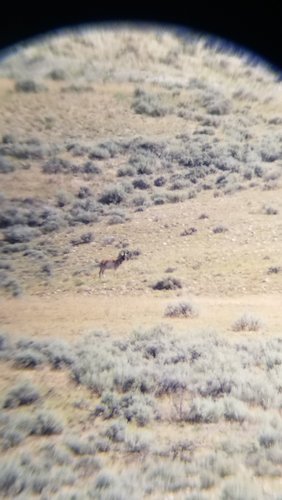 20190814_102759.jpg 20190814_102759.jpg