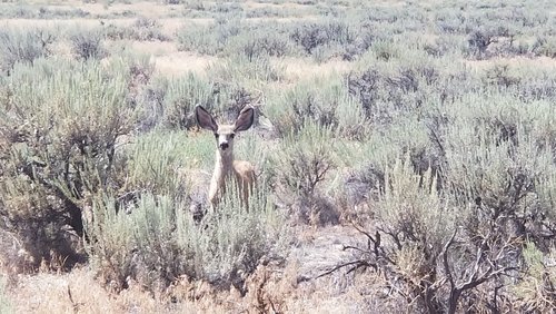 20190814_135050.jpg 20190814_135050.jpg