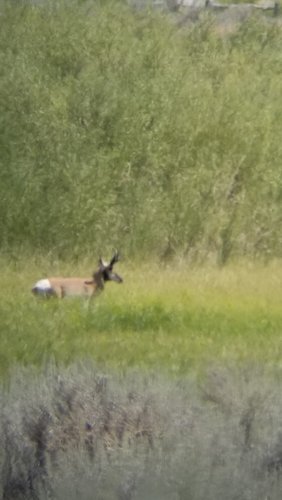20190814_140940.jpg 20190814_140940.jpg