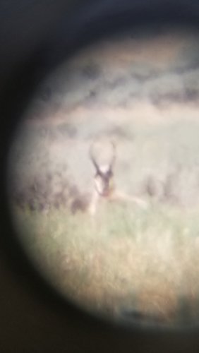 20190814_135724.jpg 20190814_135724.jpg