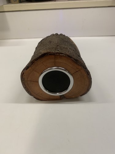 Log Speaker 1.jpg