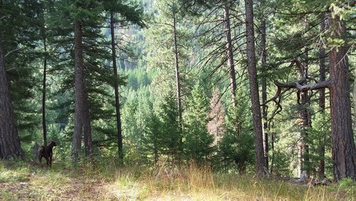20190814_095546.jpg 20190814_095546.jpg