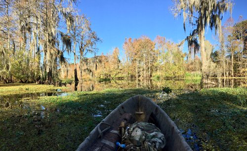 IMG_6689.jpg IMG_6689.jpg