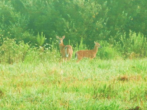 IMG_2476.JPG