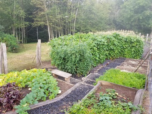 Garden 2019.jpg