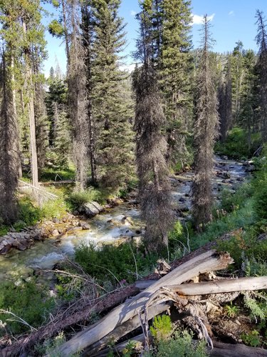 2019 camp Idaho.jpg