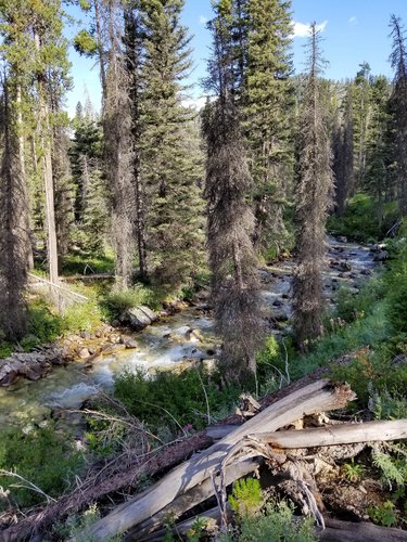 2019 camp Idaho.jpg 2019 camp Idaho.jpg