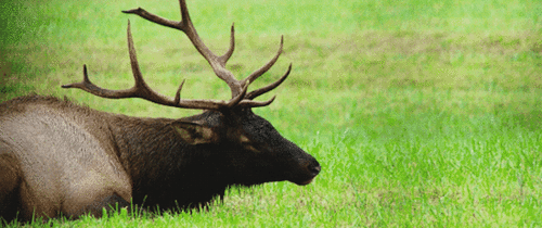 0D751A0A-71B5-4C2D-95F2-B14C7917DA72.gif 0D751A0A-71B5-4C2D-95F2-B14C7917DA72.gif