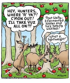 0f9a9f884b4a4b98bf56836eec7c965c--deer-hunting-humor-hunting-signs.jpg