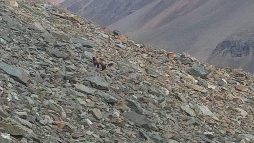 20190811_095129.jpg 20190811_095129.jpg