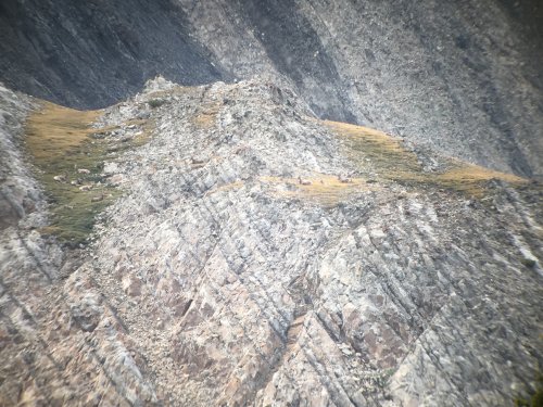 E9AF5FA9-DC3A-4DD5-A215-4BE3A9D99135.jpeg E9AF5FA9-DC3A-4DD5-A215-4BE3A9D99135.jpeg