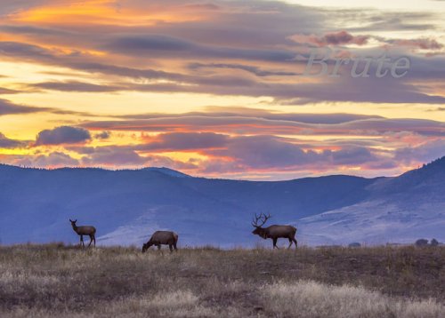 Sunset Rocky Mt.Sept. 2015   a -5982.jpg