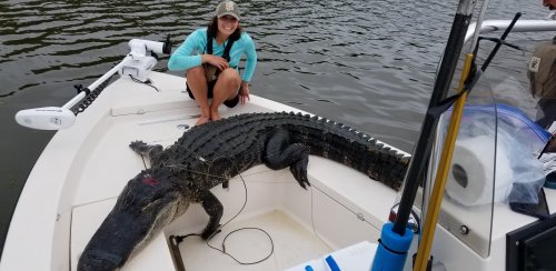 11'6 Boat.jpg 11'6 Boat.jpg