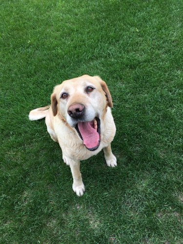 5DA13434-8B8A-4CC4-82E6-F0A7AAF4E29D.jpeg 5DA13434-8B8A-4CC4-82E6-F0A7AAF4E29D.jpeg