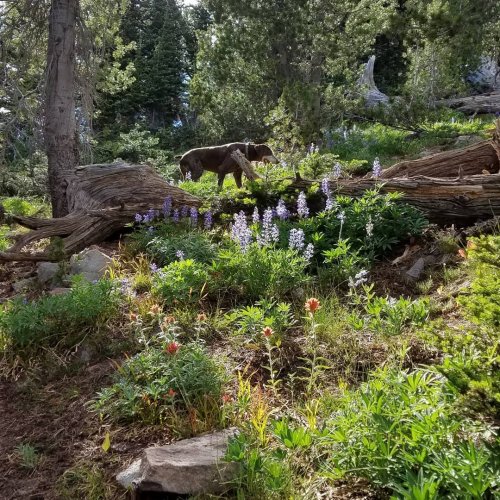 37562859_10102846435517460_2851449893283692544_o.jpg 37562859_10102846435517460_2851449893283692544_o.jpg