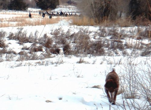 DSCN0035.JPG DSCN0035.JPG