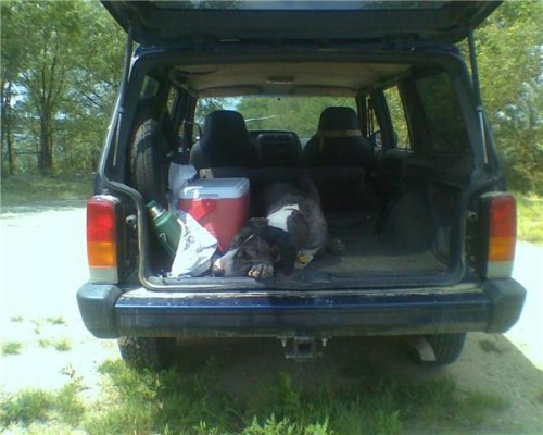 Fishing Aug09 Boris having a hard day.jpg Fishing Aug09 Boris having a hard day.jpg