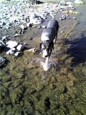 Boris Fishing 2.jpg Boris Fishing 2.jpg