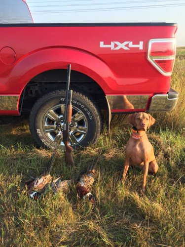 21616492_10214490536681963_1843252645393948135_n.jpg 21616492_10214490536681963_1843252645393948135_n.jpg