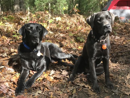 0A1CB52C-8502-4E0A-B9E9-E5D20F98BA9C.jpeg 0A1CB52C-8502-4E0A-B9E9-E5D20F98BA9C.jpeg