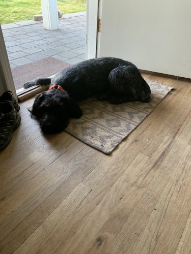 5B7704FF-C658-44E7-9C76-9C077D44878C.jpeg 5B7704FF-C658-44E7-9C76-9C077D44878C.jpeg