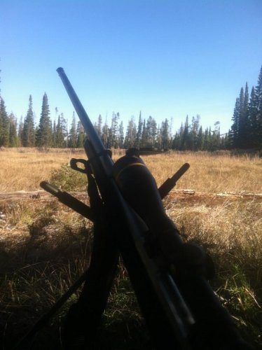 Shooting Sticks.jpg Shooting Sticks.jpg