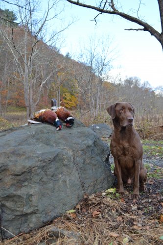 DSC_0581.JPG DSC_0581.JPG